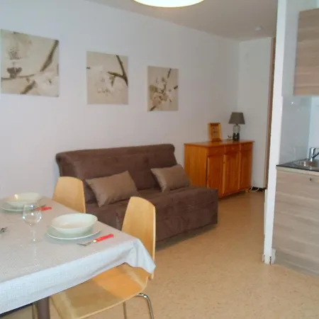 Avec Terrasse, Climatisation Et Animaux Admis, Proche Des Thermes - Fr-1-503-38 Apartment *